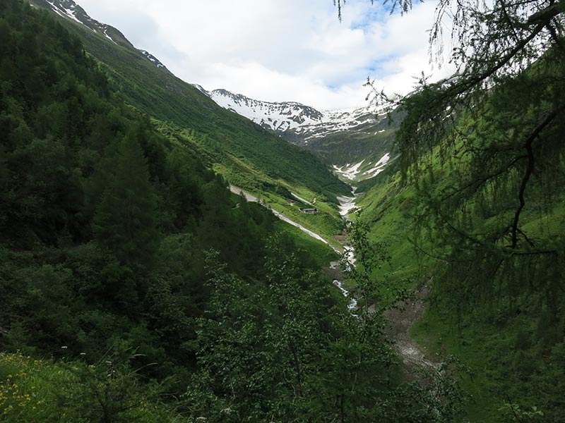 Toinigspitze